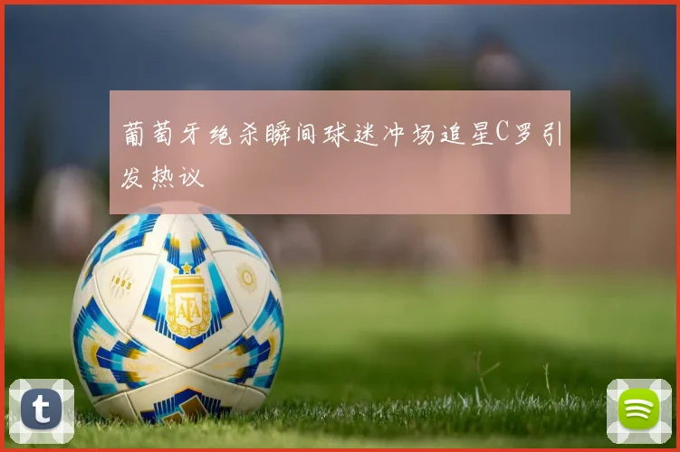 葡萄牙绝杀瞬间球迷冲场追星C罗引发热议
